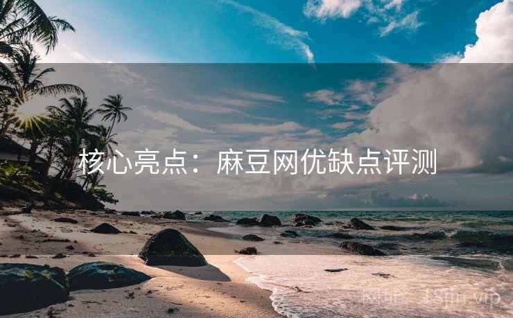核心亮点：麻豆网优缺点评测