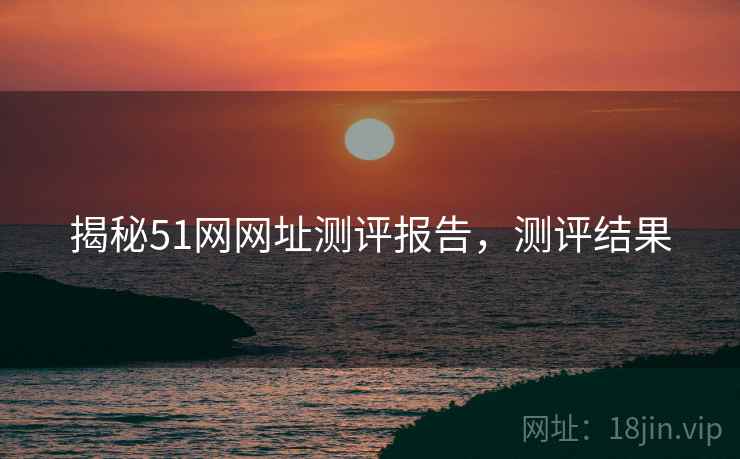 揭秘51网网址测评报告，测评结果