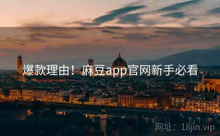 爆款理由！麻豆app官网新手必看